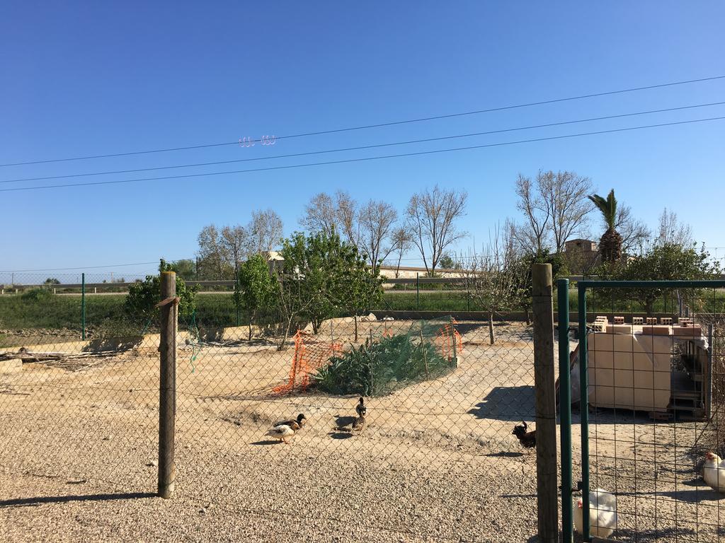 Caseta Les Creus Riumar Εξωτερικό φωτογραφία